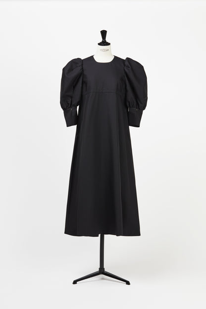 Volume Sleeve Dress Grace