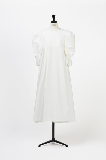 Volume Sleeve Dress Grace