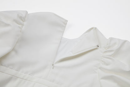 Volume Sleeve Dress Grace