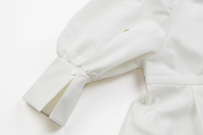 Volume Sleeve Dress Grace